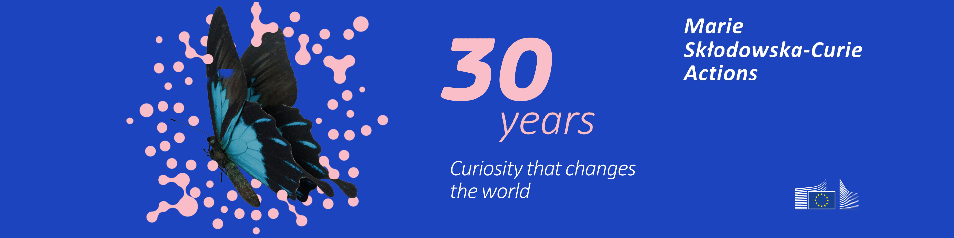 MSCA 30 year old anniversary